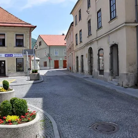 Hisa Elsbacher Apartment *